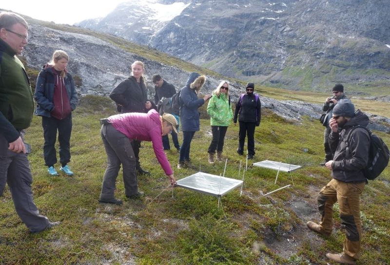 Nordplus Network Has Developed a Joint Nordic Master&rsquo;s Degree - Nordplus Higher Education