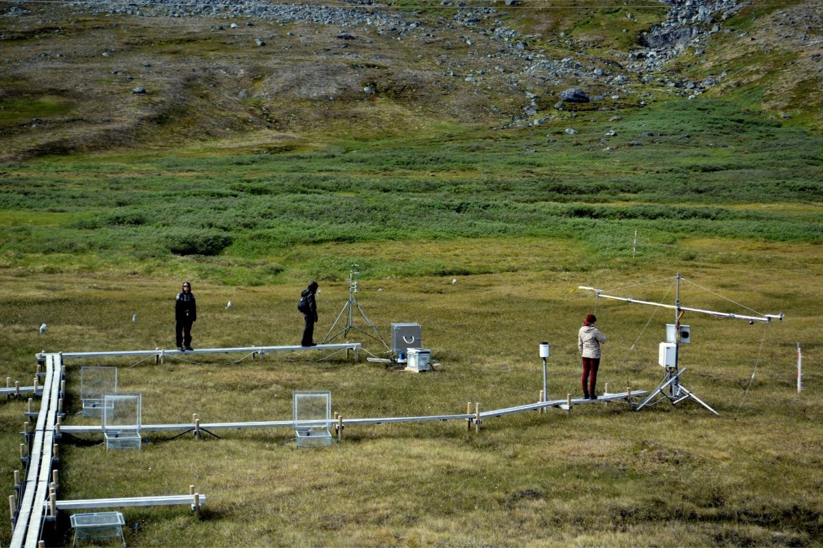 Nordplus Network Has Developed a Joint Nordic Master’s Degree - Nordplus Higher Education