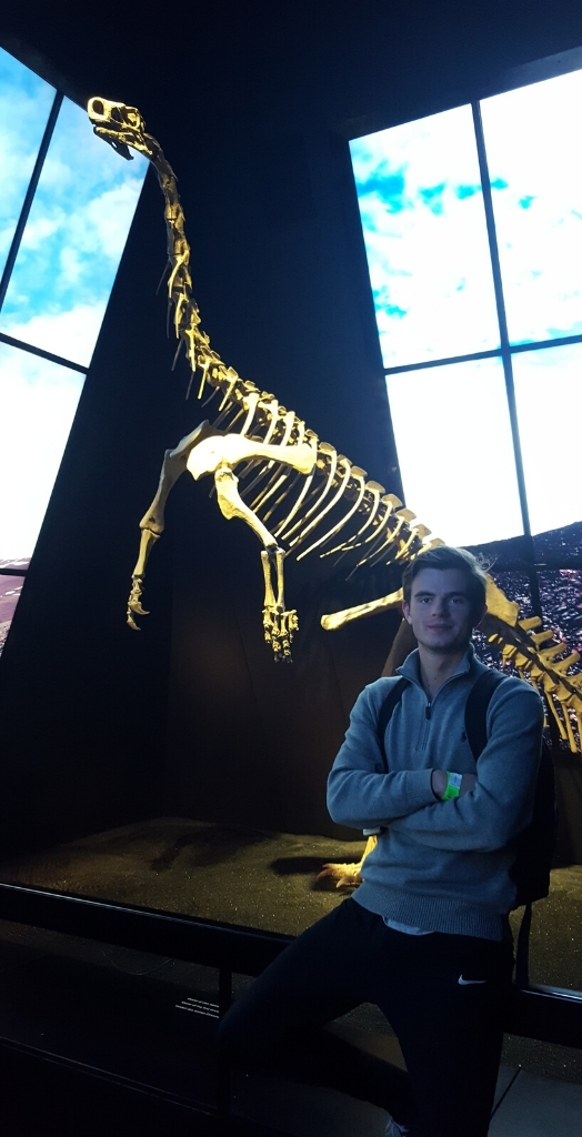 The Students Practise on Companies, Volcanoes, and Bicycles - Nordplus Junior