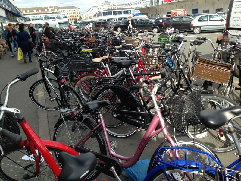 The Students Practise on Companies, Volcanoes, and Bicycles - Nordplus Junior