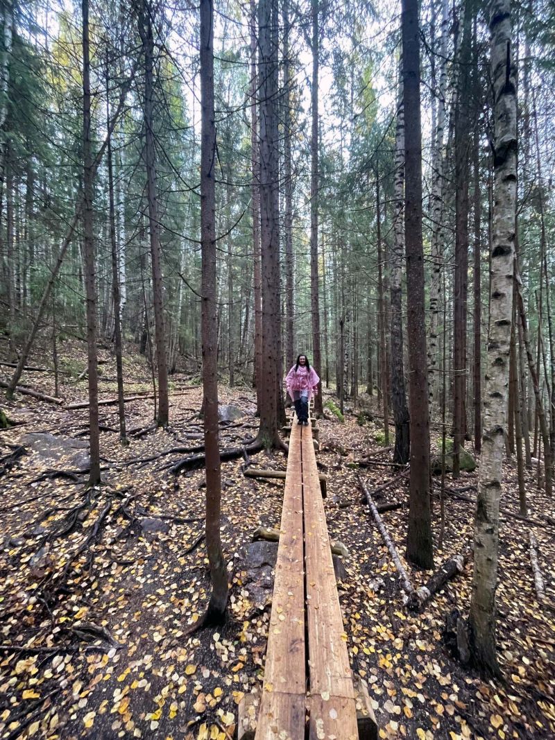 How is the Nordic culture and environment a part of my identity? - Nordplus Adult