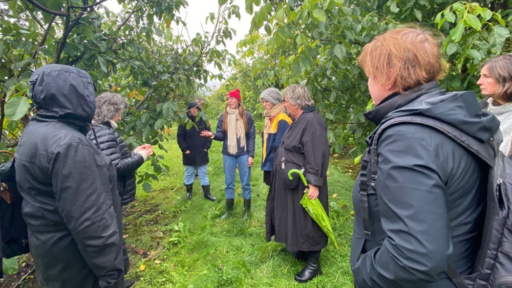Frontrunners in local food production create a bridge between culture and tradition - Nordplus Adult