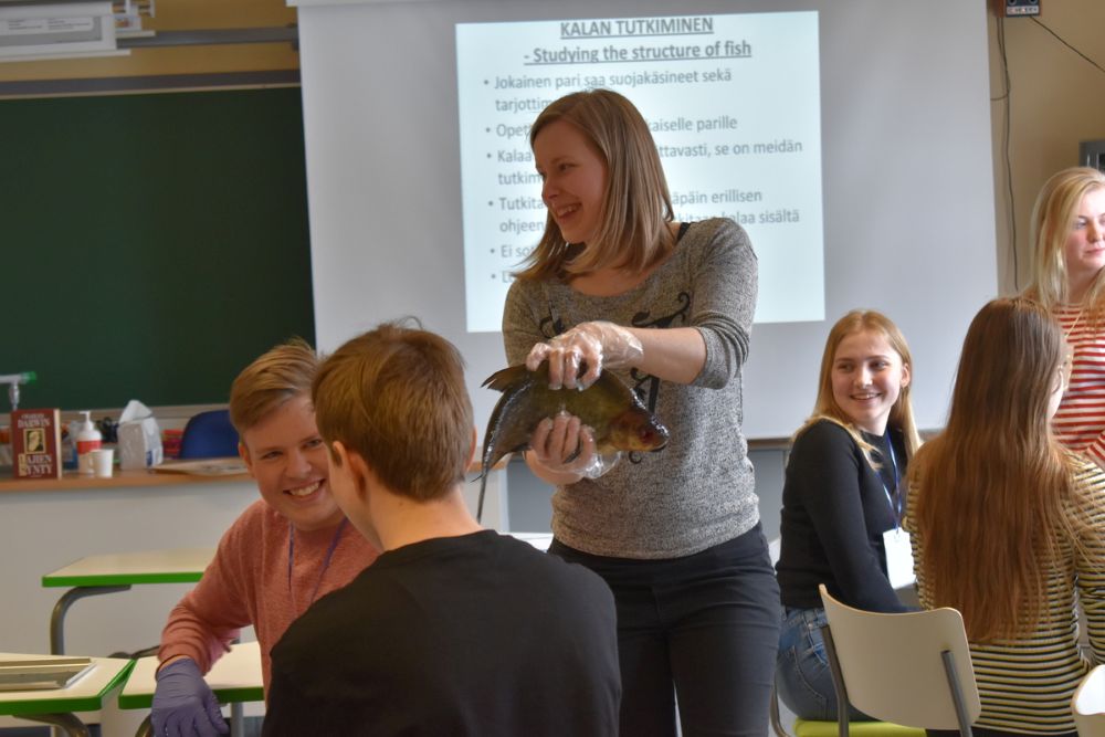 Nordplus green transition project encouraged mobility and STEM education - Nordplus Junior