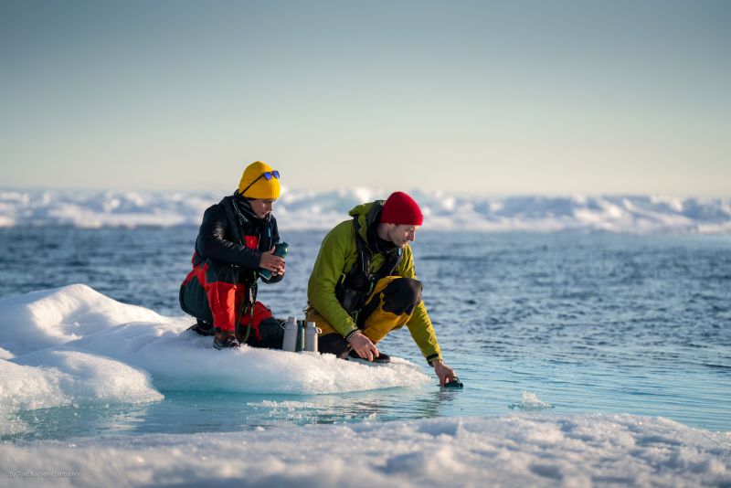 Walk with a whale and see the pollution below the surface of the sea - Nordplus Horizontal