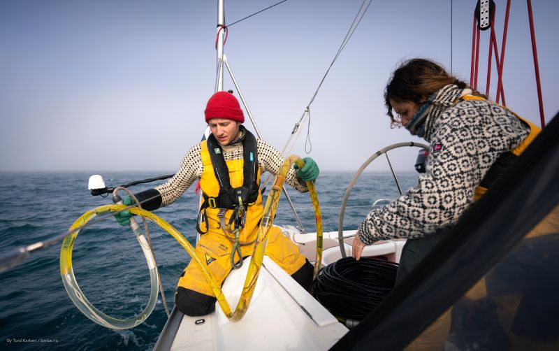 Walk with a whale and see the pollution below the surface of the sea - Nordplus Horizontal