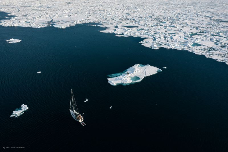 Walk with a whale and see the pollution below the surface of the sea - Nordplus Horizontal