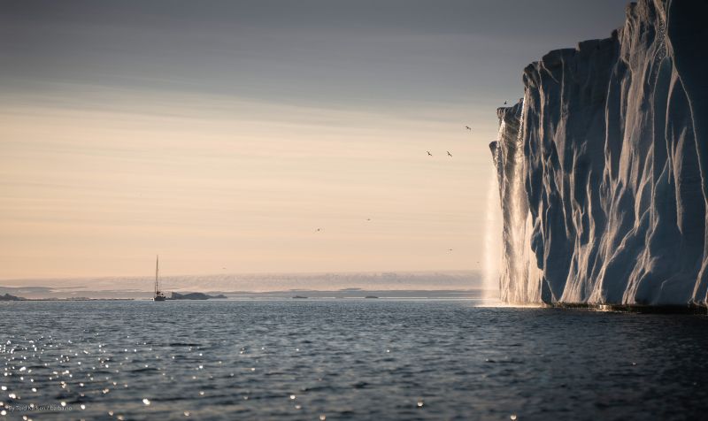 Walk with a whale and see the pollution below the surface of the sea - Nordplus Horizontal