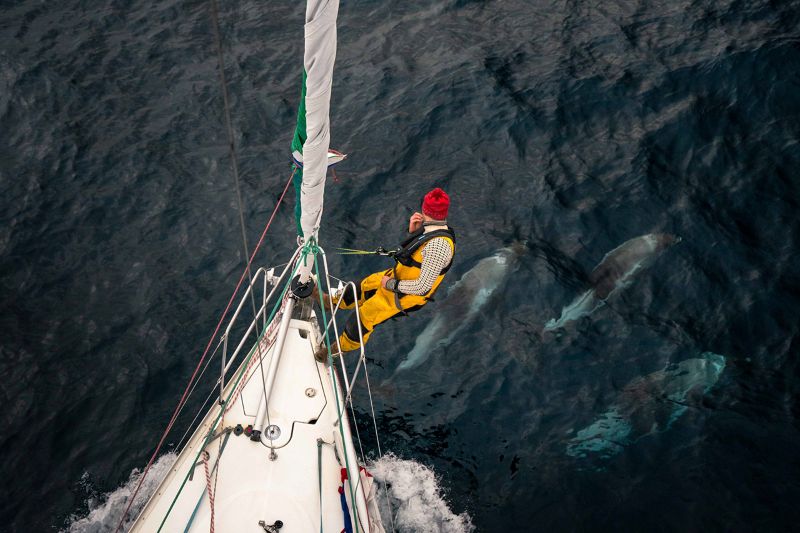 Walk with a whale and see the pollution below the surface of the sea - Nordplus Horizontal