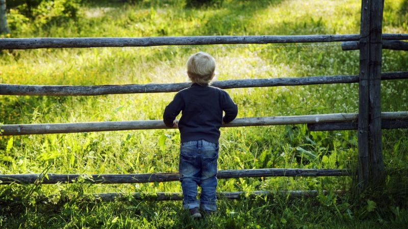 Common challenges &ndash; but different solutions