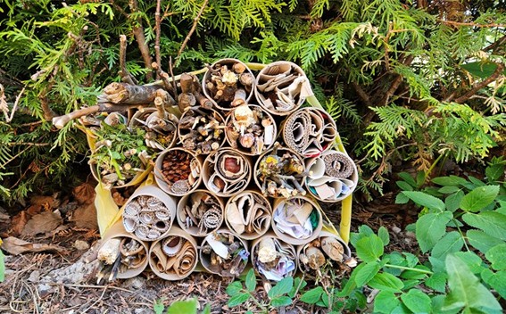 Kids go Green, Nordplus project. Insect hotel.