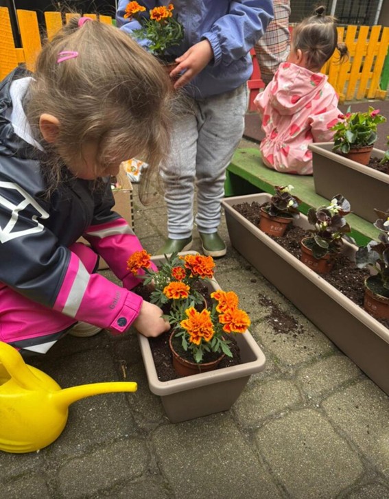 Kids go Green, Nordplus project