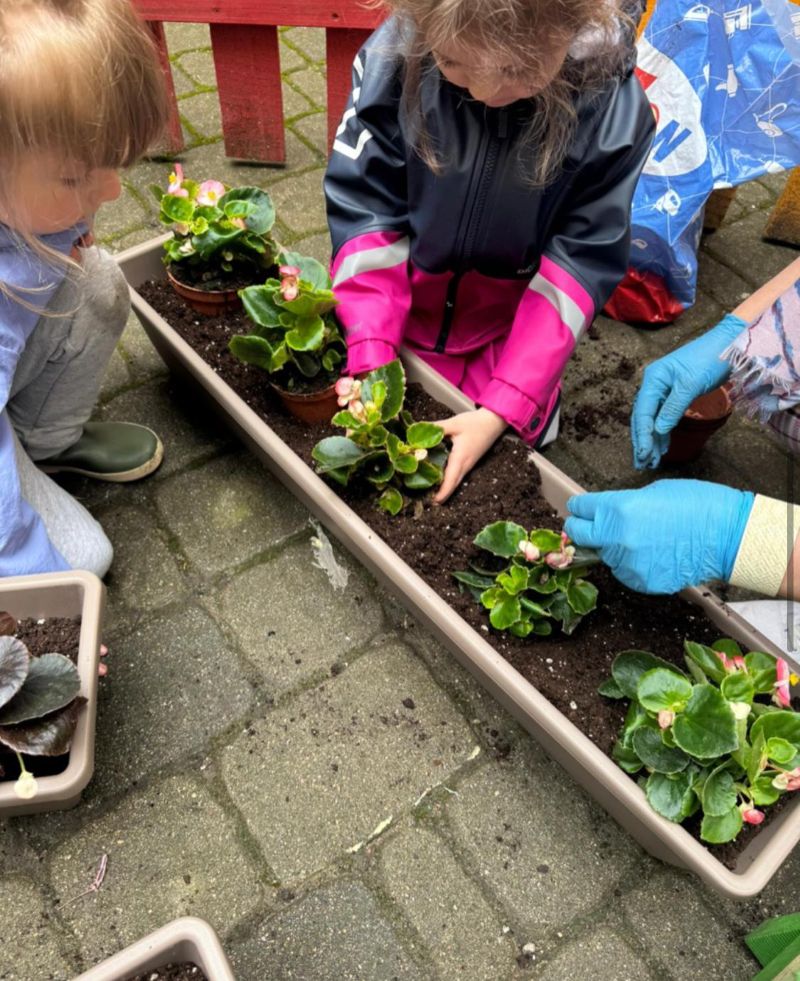 Kids go Green, Nordplus project