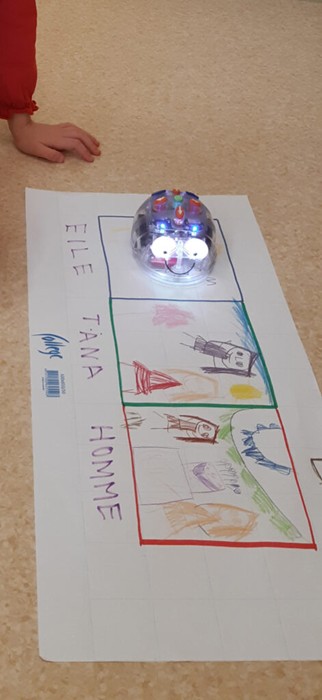 Kids go Green, Nordplus project. Math challenges