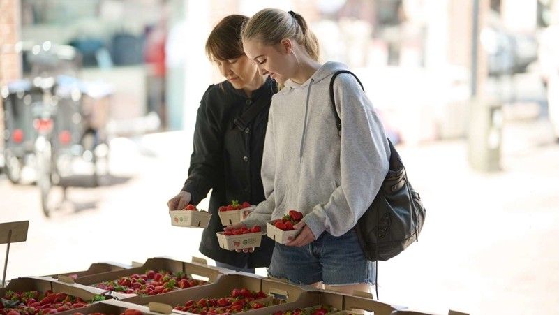 First came a network – then a joint project - Nordplus